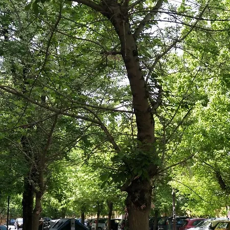 Apartman Piazza Del Popolo Charming Flat *
